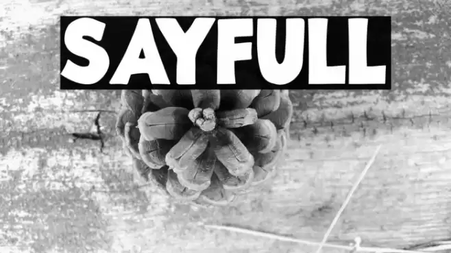 Sayfull Font examples