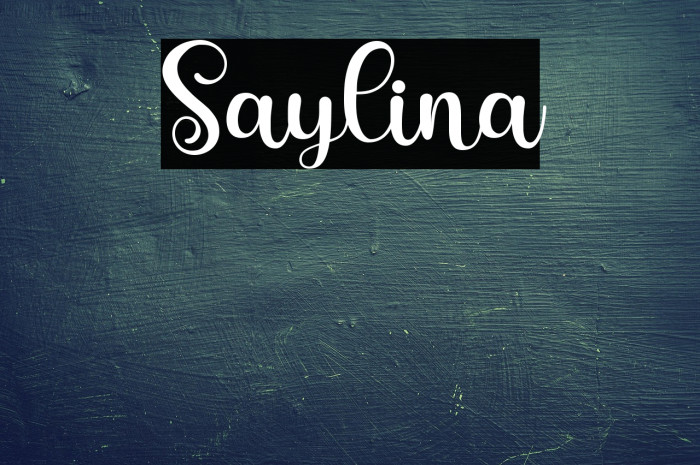 Saylina Example 1