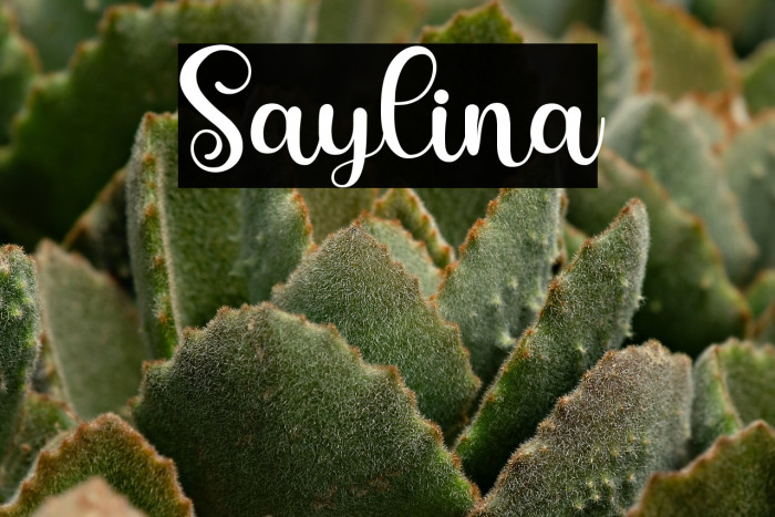 Saylina Example 2