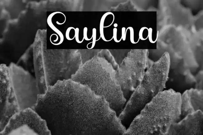 Saylina Font examples