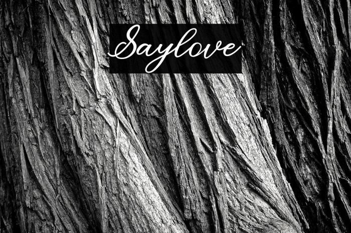 Saylove Example 1