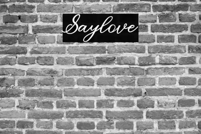 Saylove Font examples