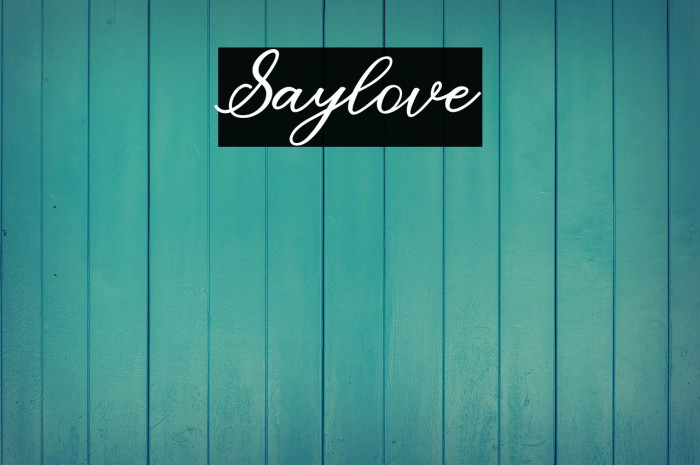 Saylove Example 3
