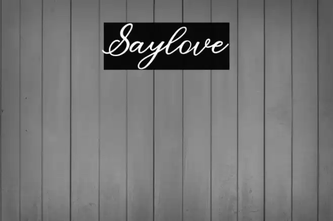 Saylove Font examples