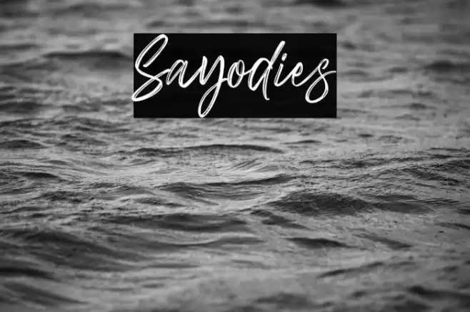 Sayodies Font examples