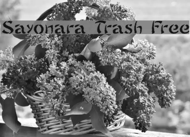Sayonara Trash Free Font examples
