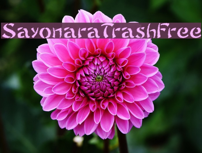 SayonaraTrashFree Font examples