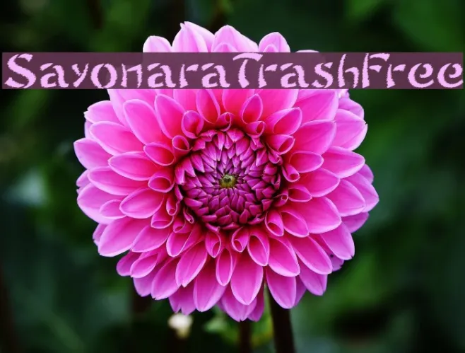 SayonaraTrashFree Example 1