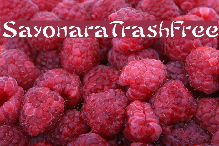 SayonaraTrashFree Font examples