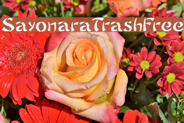 SayonaraTrashFree Font examples
