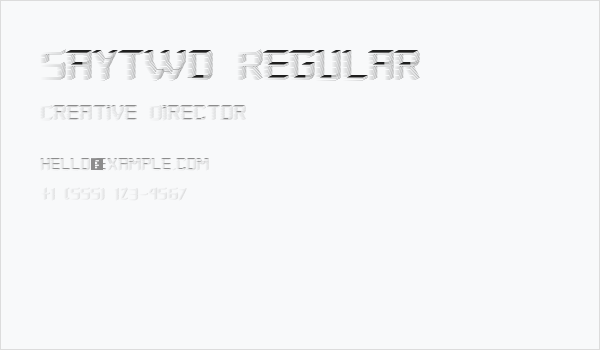 Saytwo Regular Business Card