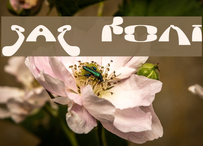 Saz Font examples