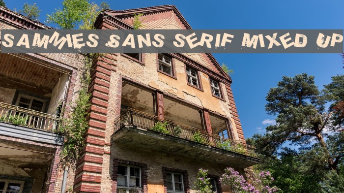 saMmiEs Sans serIf MixeD Up Font examples