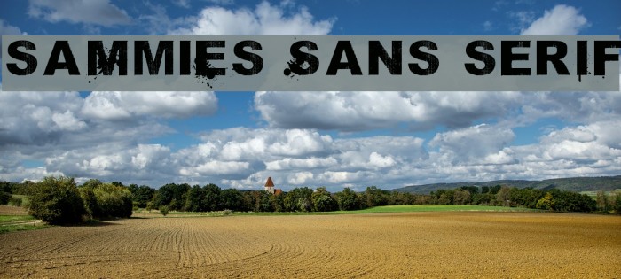 saMmiEs Sans serIf Example 1