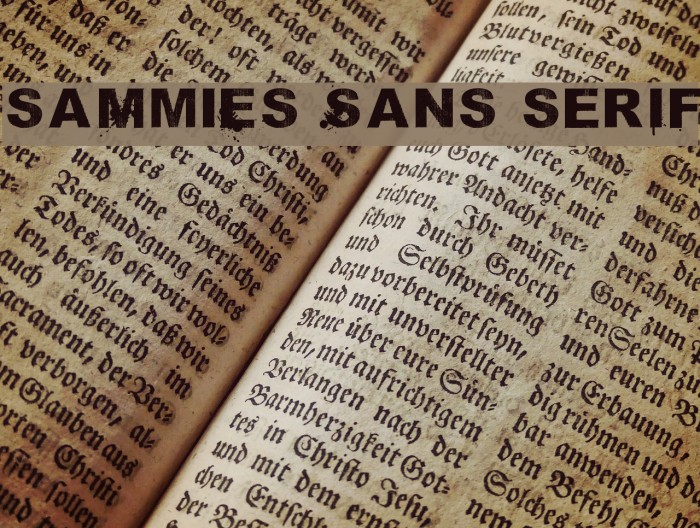 saMmiEs Sans serIf Example 2