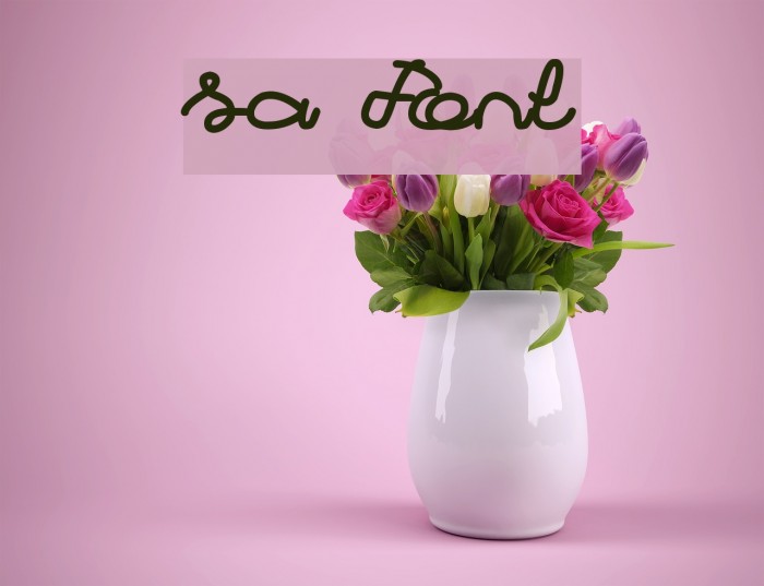 sa Font examples