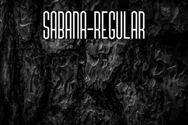 sabana-Regular Font examples