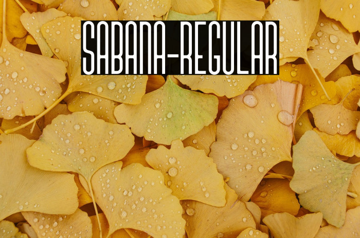 sabana-Regular Example 2