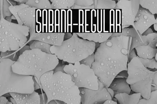 sabana-Regular Font examples