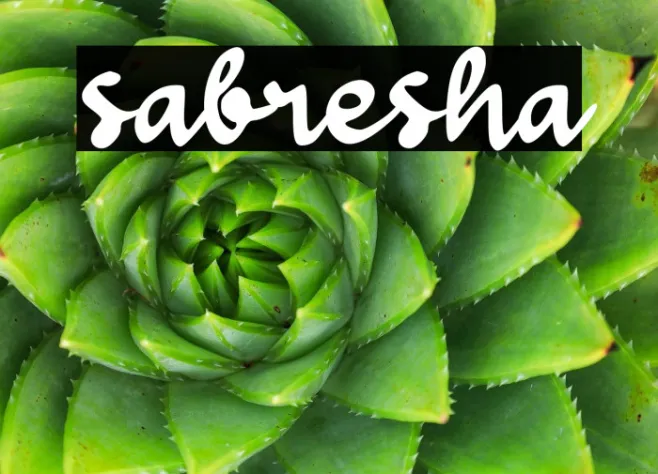 sabresha Example 1