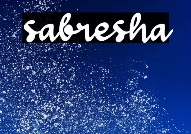 sabresha Example 2