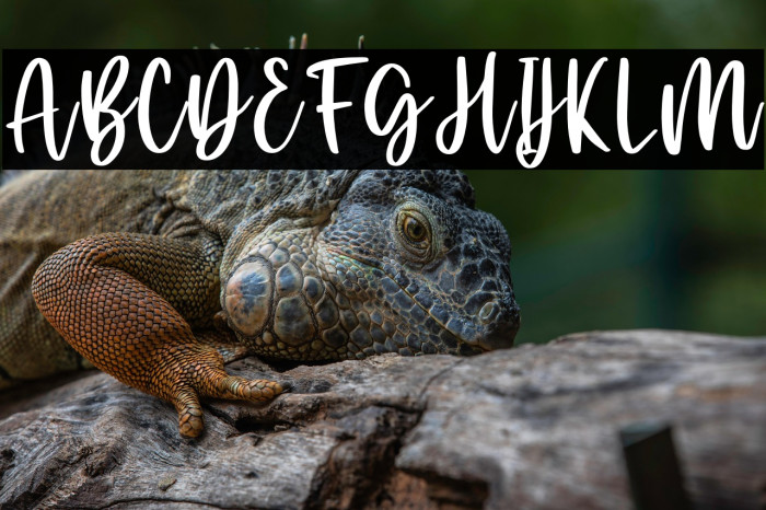 sacredLove Example 3