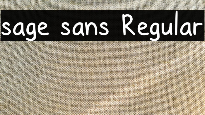 sage sans Regular Example 1