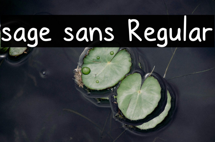 sage sans Regular Example 2