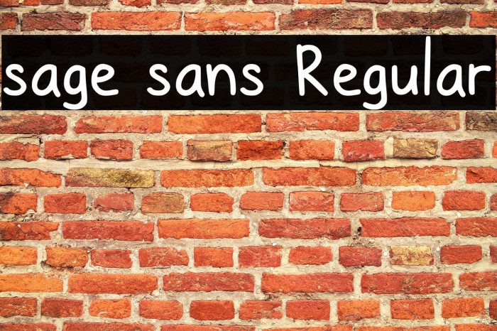 sage sans Regular Example 3