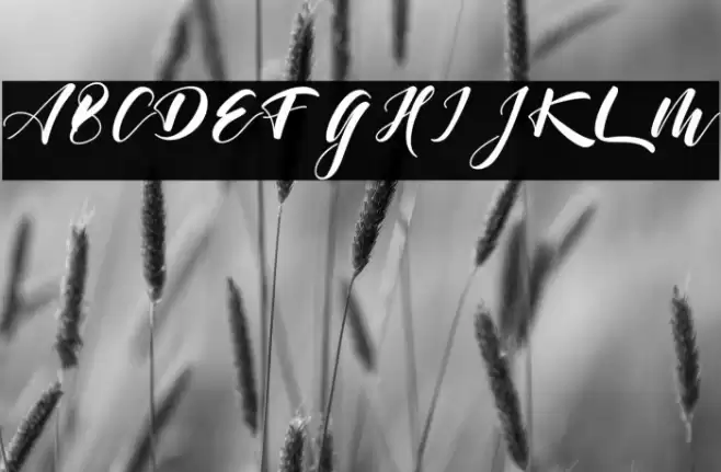 sahanaya Font examples