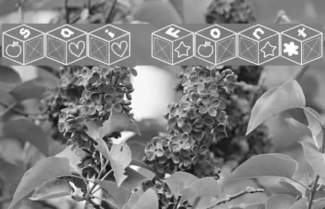 sai Font Polices examples