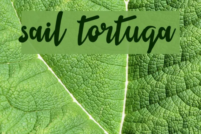 sail tortuga Example 3