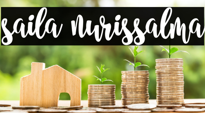 saila nurissalma Example 1