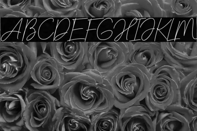 saitama Font examples