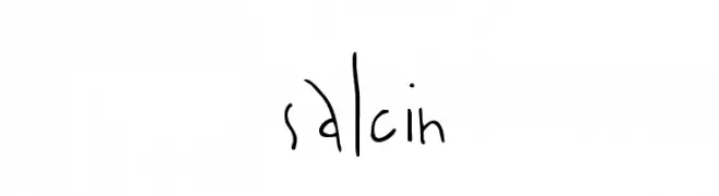 salcin  Free Fonts Download