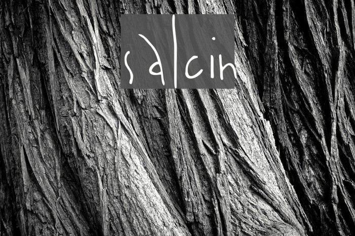 salcin Font examples