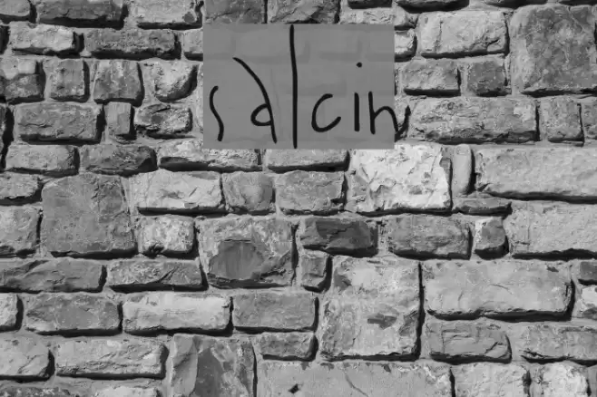 salcin Font examples