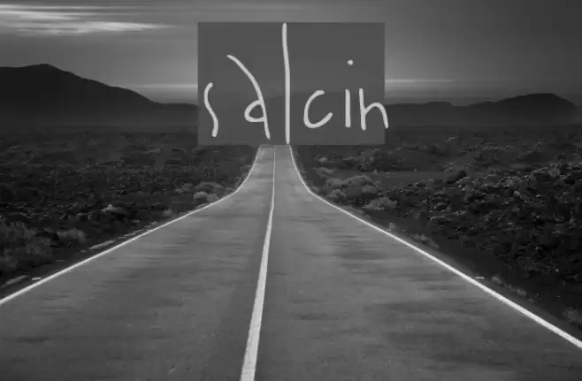 salcin Font examples