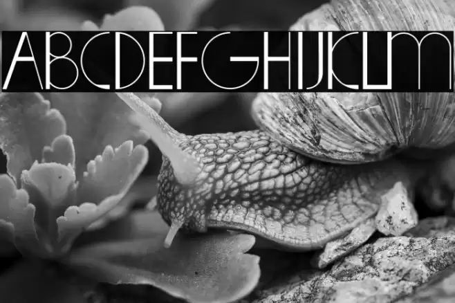 saleng Font examples