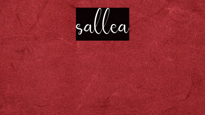 sallea Example 1