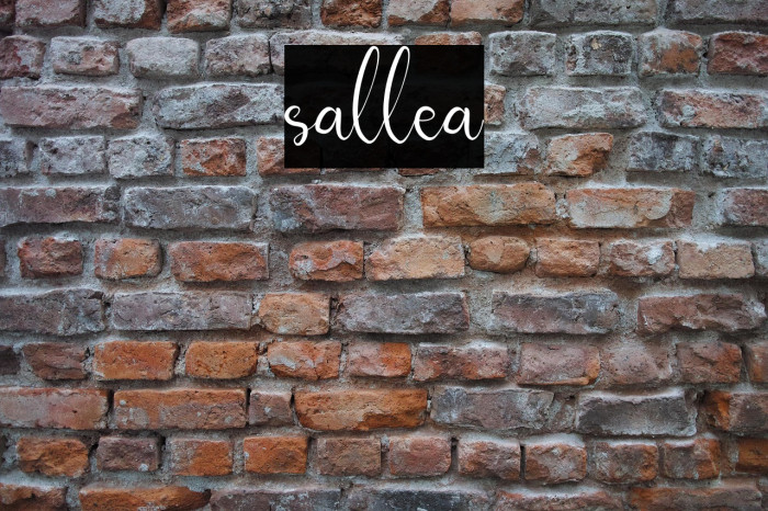 sallea Example 3