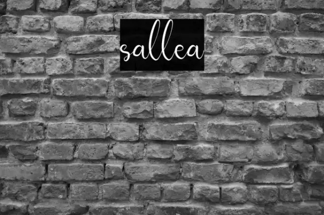 sallea Font examples