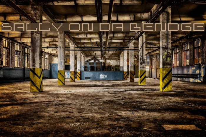 sally on da bendge Example 1