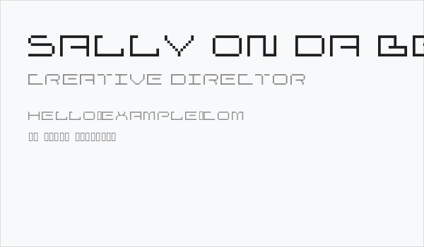 sally on da bendge Business Card