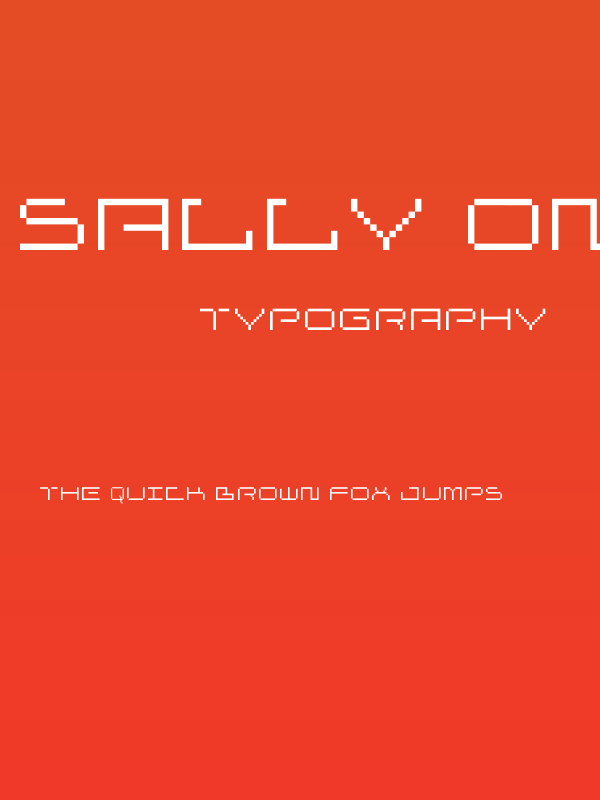 sally on da bendge Poster