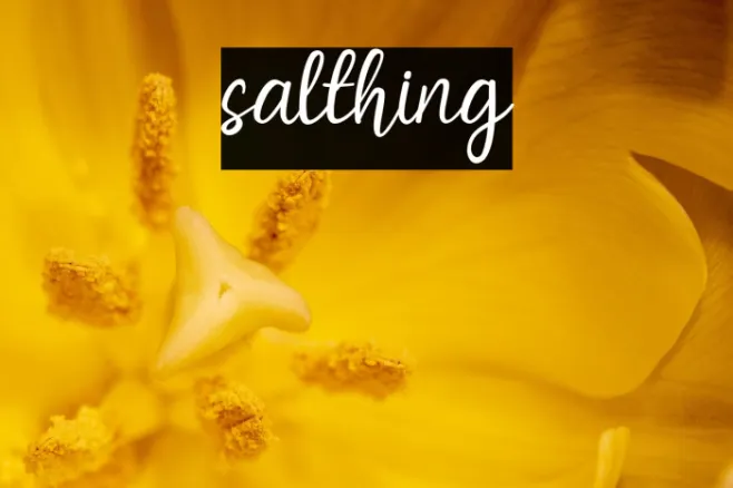 salthing Example 1