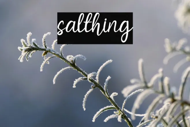 salthing Example 2
