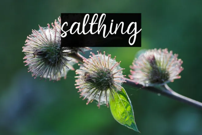 salthing Example 3