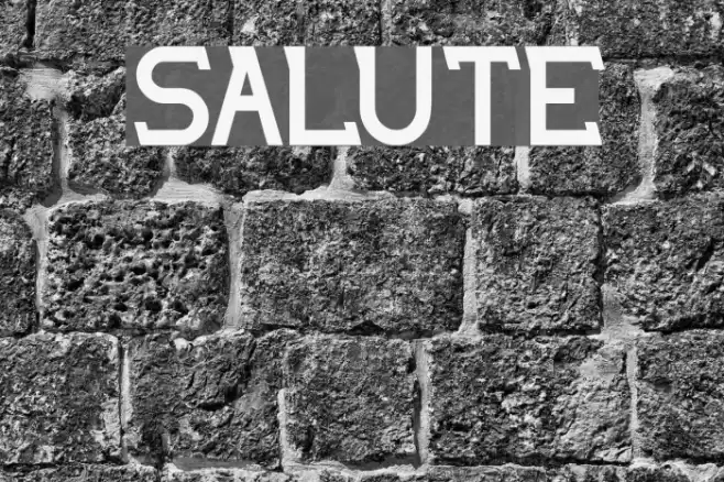 salute Font examples