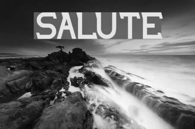 salute Font examples